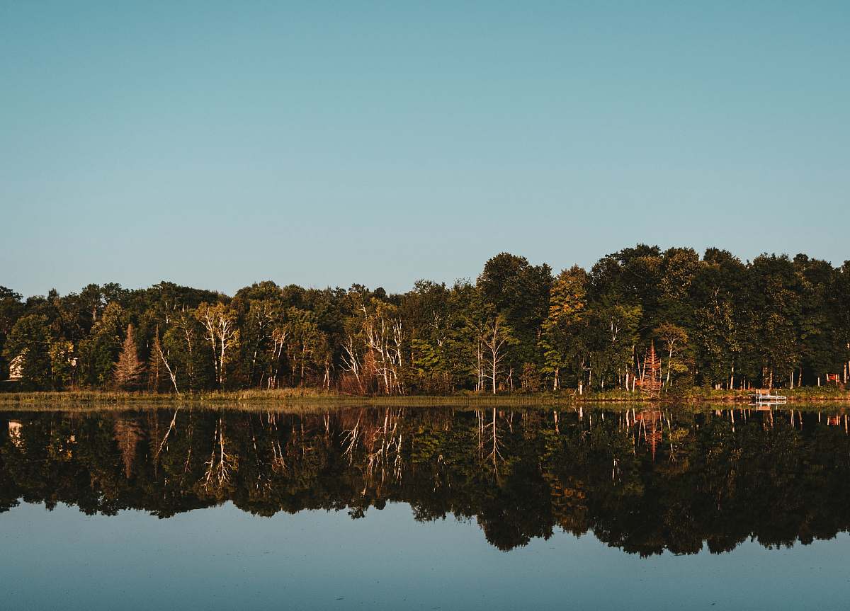 united states body of water beside trees during daytime 